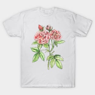 English Roses T-Shirt